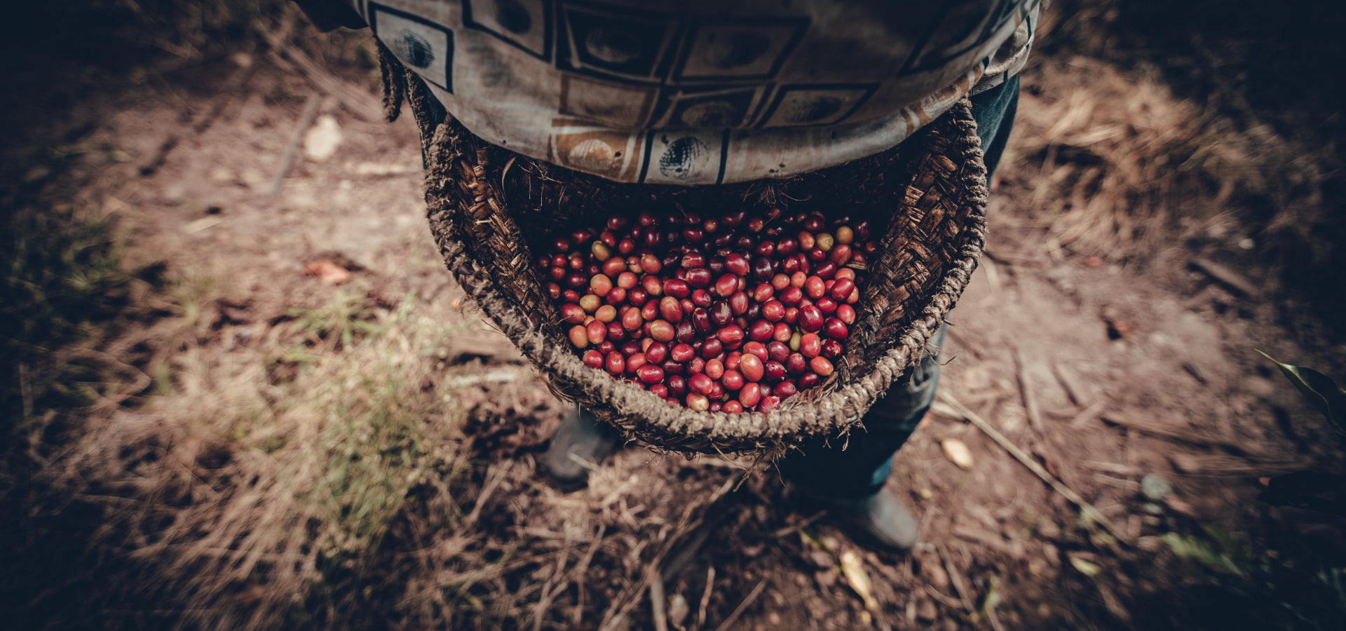 slider image 1621243260e1af0c20-0