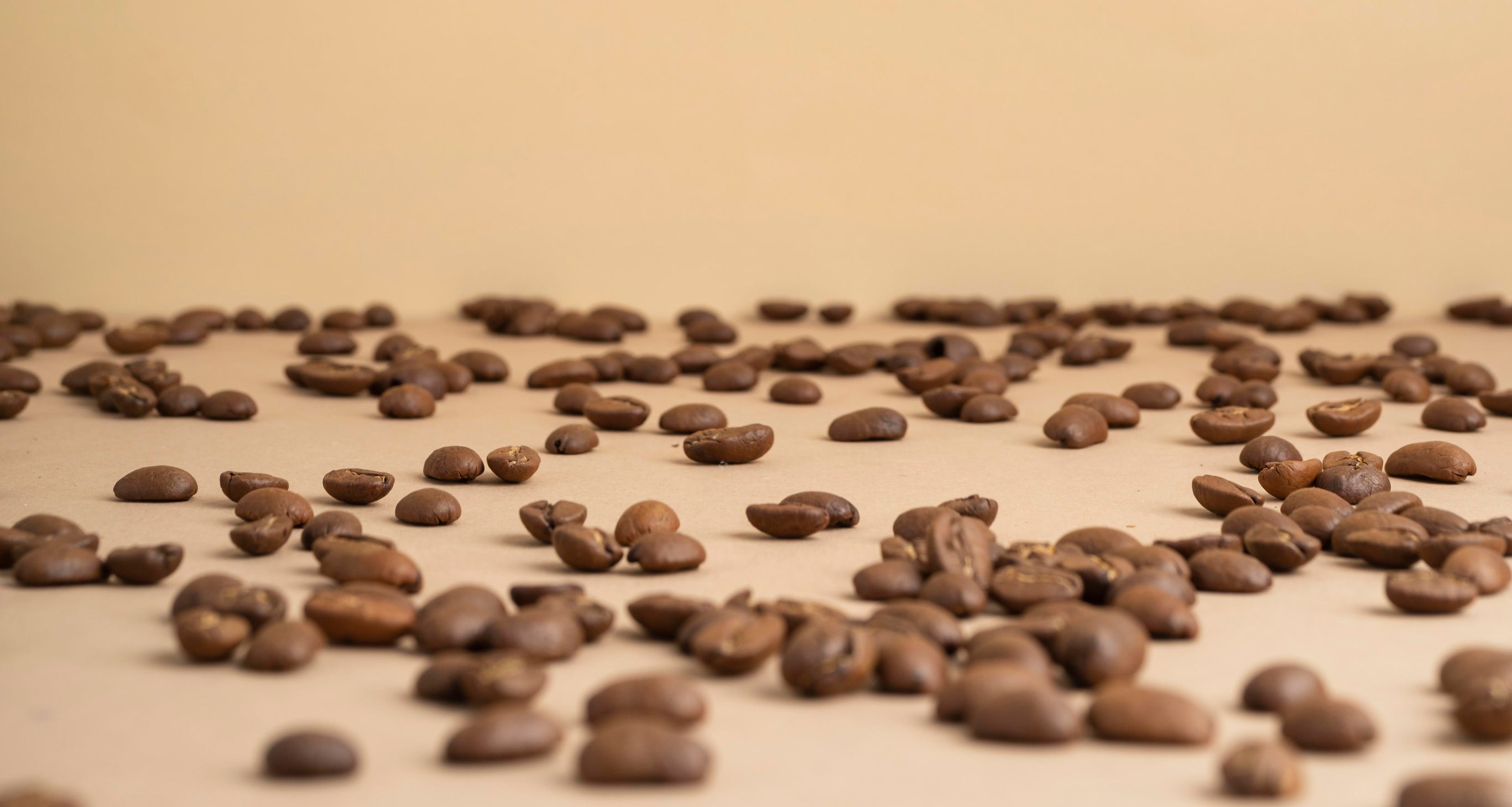 collection-banner-image